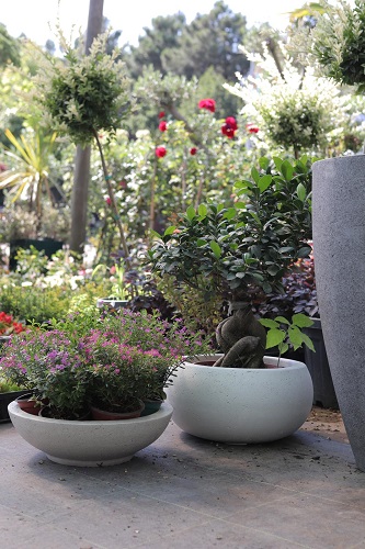 Lightweight Concrete Flower Pots